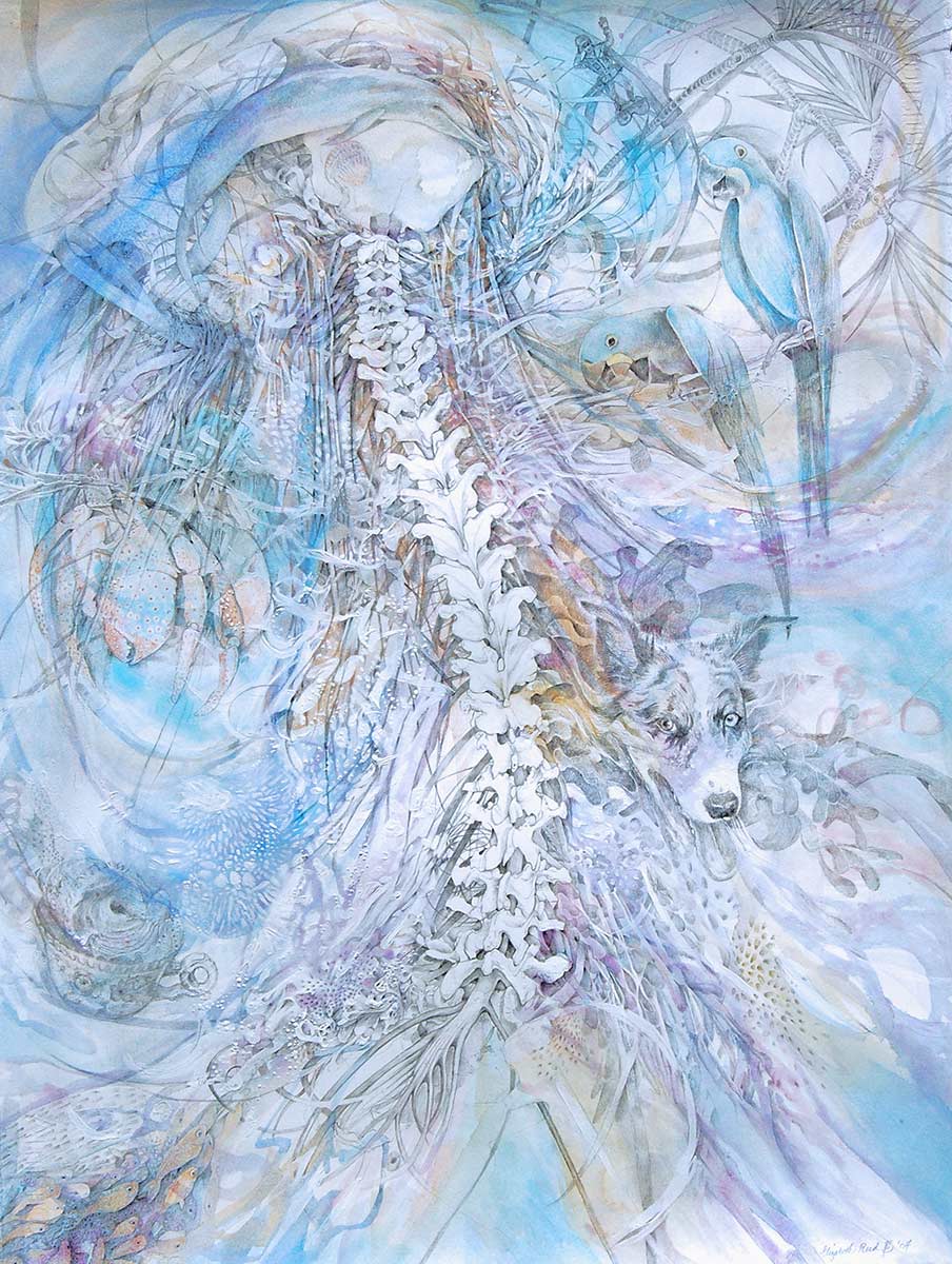ALLUVION-spine-drawing-of-water-and-florida-by-artist-Elizabeth-Reed