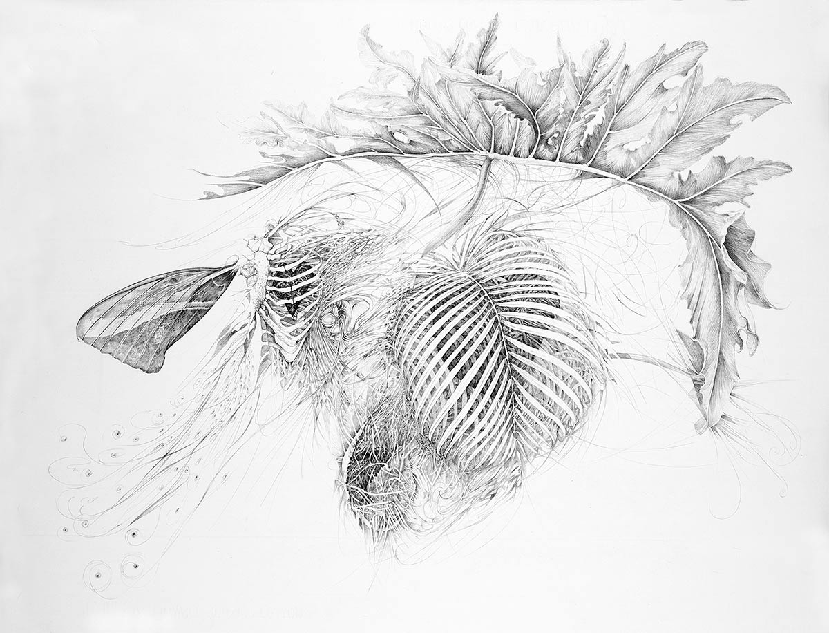 OPEN-HEART-graphite-drawing-by-artist-Elizabeth-Reed-about-open-hearts-and-nature