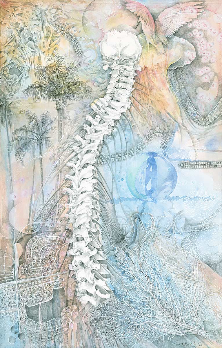 RIVERSIDE-spine-drawing-by-artist-Elizabeth-Reed-roseate-spoonbill-suburban-Florida-shells-water