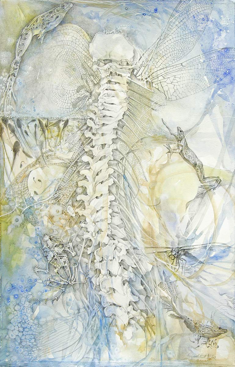 SYMBIOSIS-spine-drawing-by-artist-Elizabeth-Reed-frogs-tadpoles-dragonfly