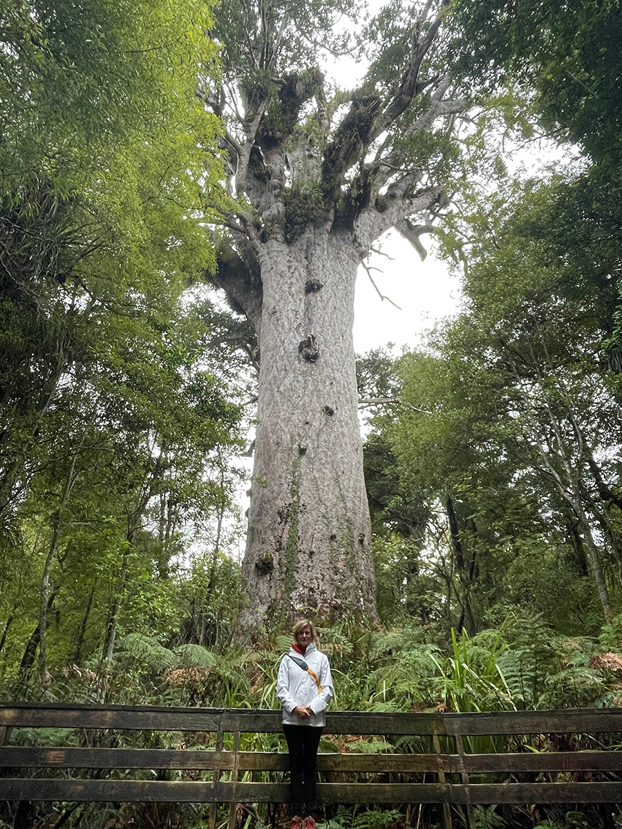 Artist Elizabeth Reed with Kauri Tree in New Zealand