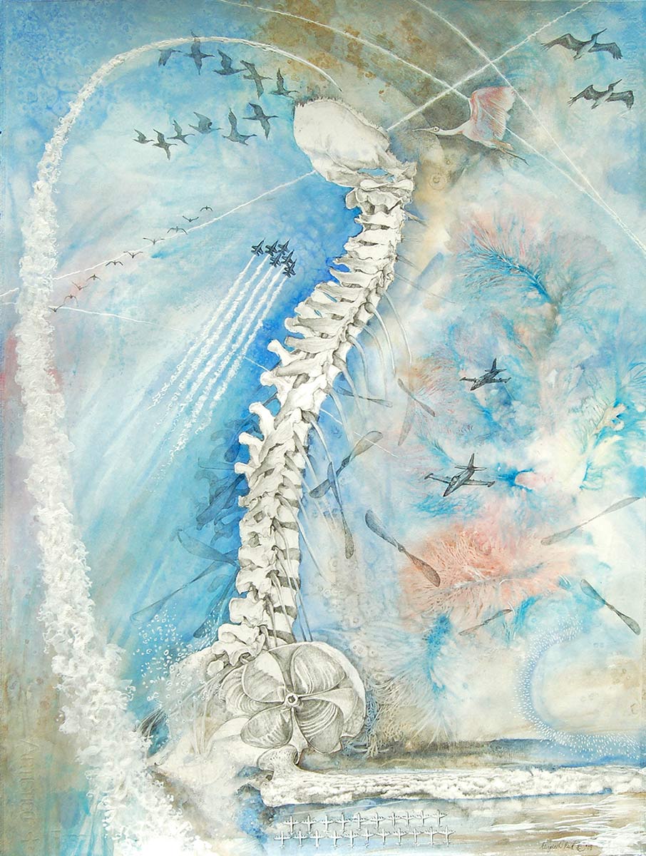 MAVERICK-spine-drawing-pelicans-roseate-spoonbill-fighter-jets-pelvis-by-artist-Elizabeth-Reed