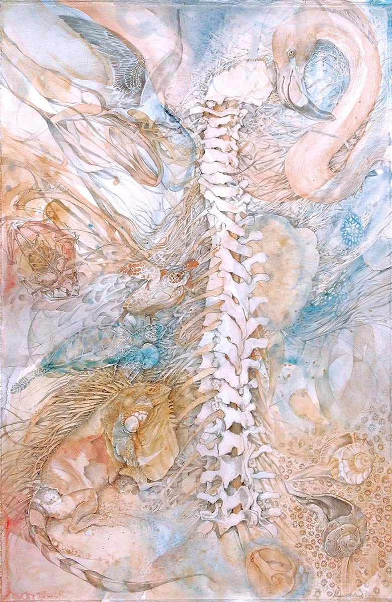 NIZDOS-spine-drawing-by-artist-Elizabeth-Reed-flamingo-iguana-water-florida