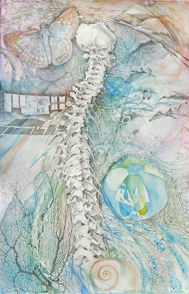 OAKWOOD-spine-drawing-by-artist-Elizabeth-Reed-Ibis-shells-florida-suburbia