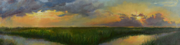Sunrise, Sunset - Swiftly flow the days, Elizabeth Reed capturing the spirit of people and places