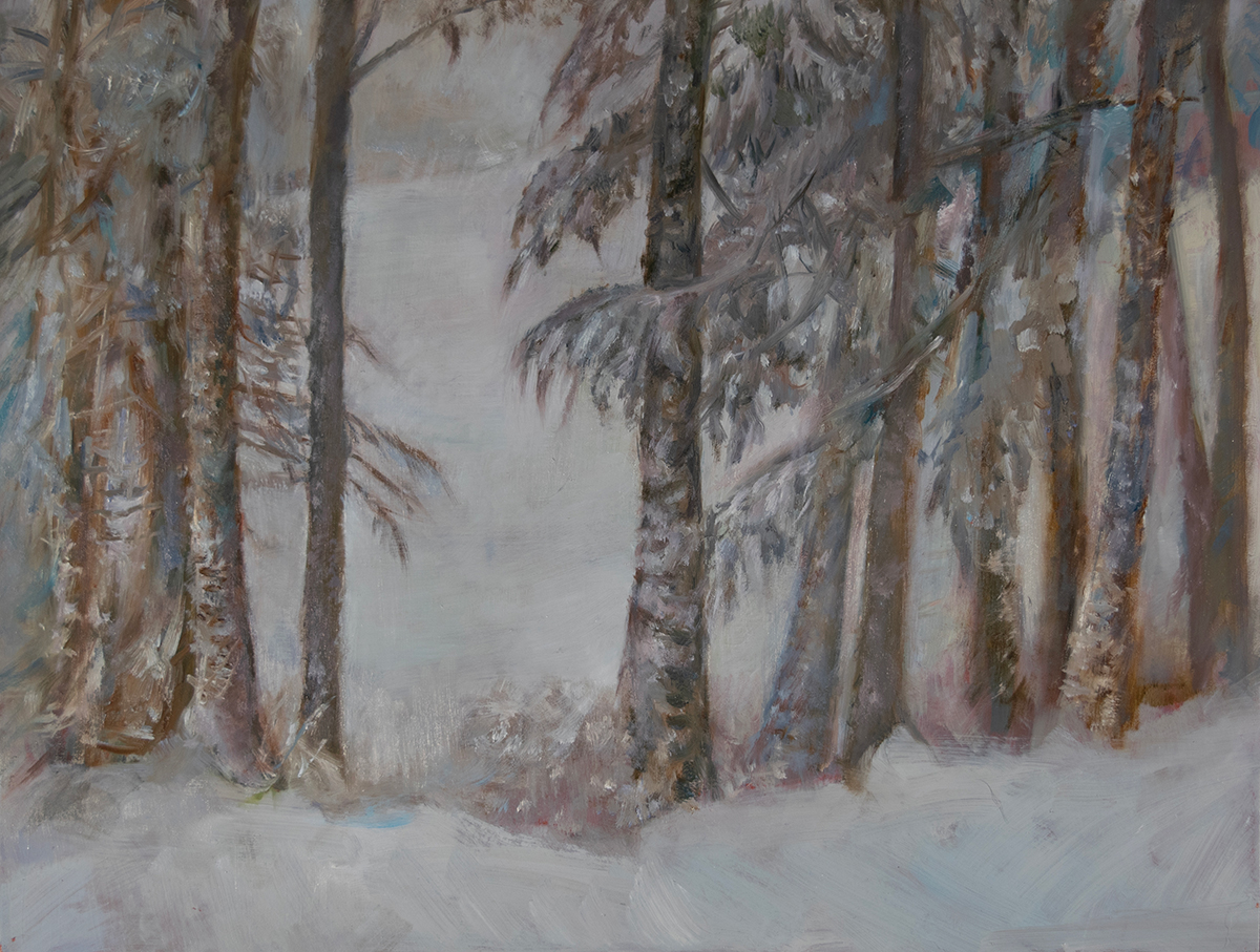 March Snow on Biscay Pond, Maine oil painting by artist Elizabeth Reed