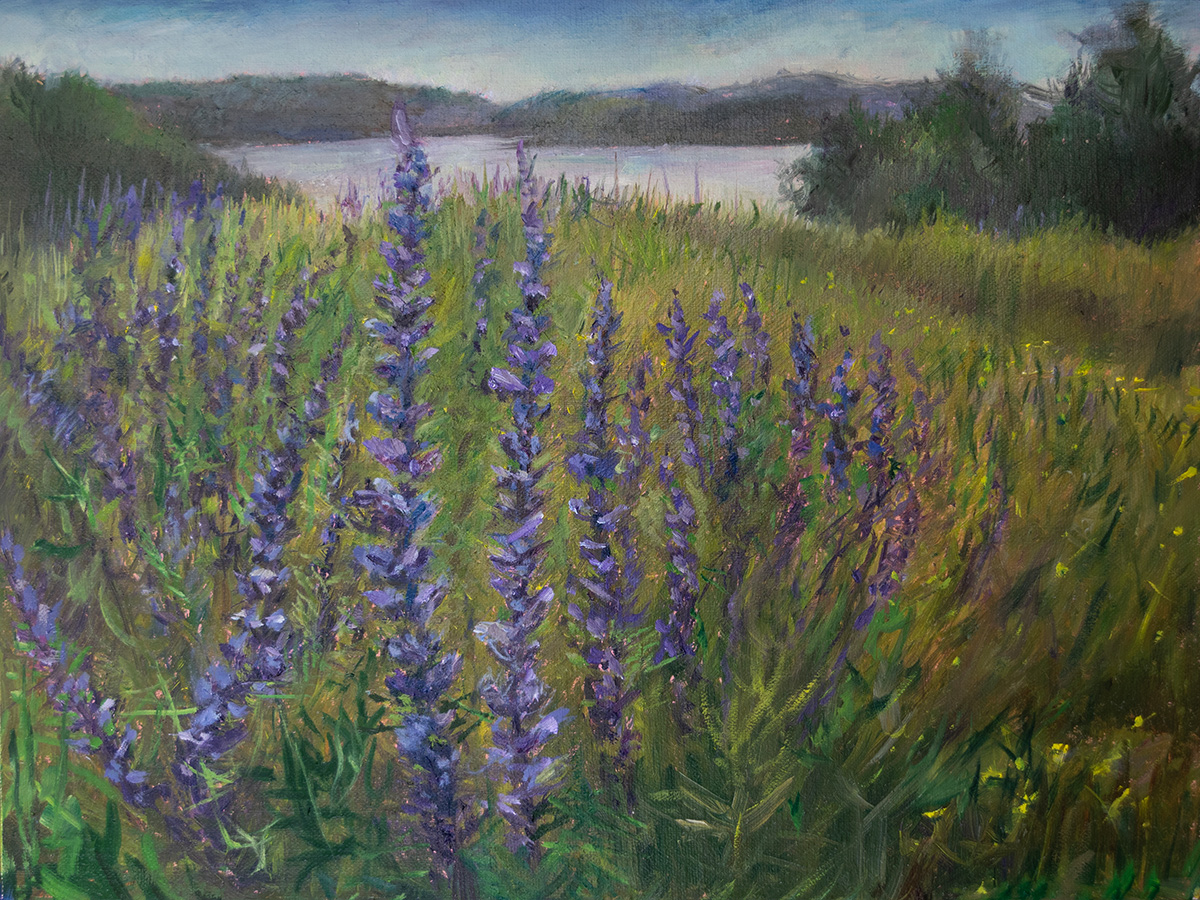 The Last of the Lupines at Hay Conservation, Bremen, Maine