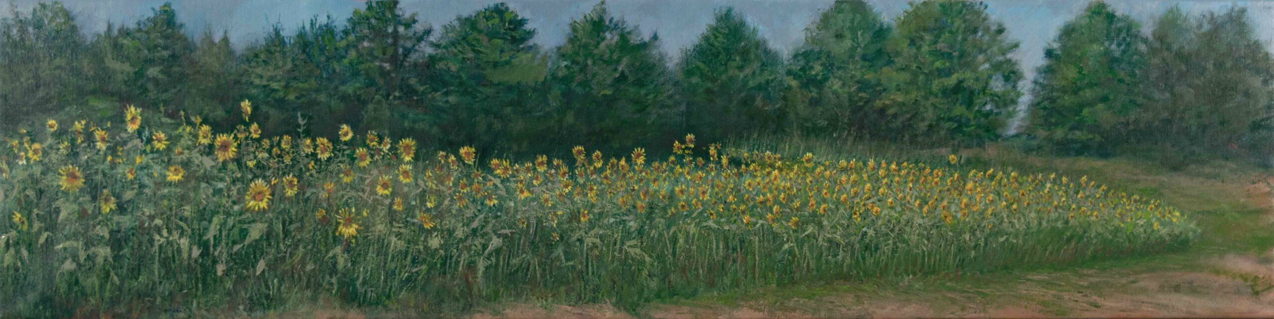 Ambler Farm Sunflower Fields painted en Plein air by artist Elizabeth Reed